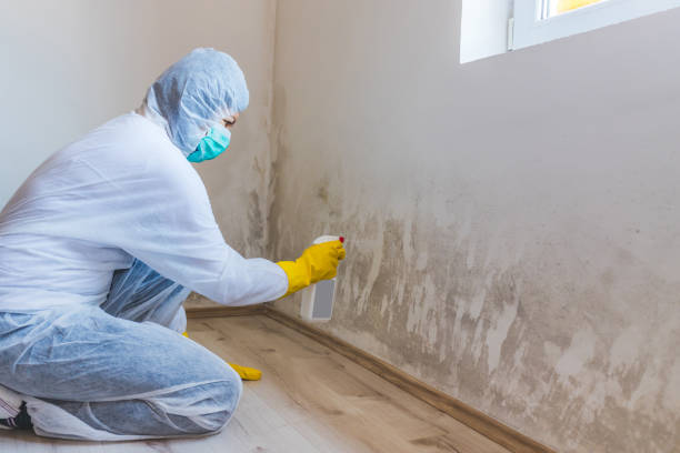 Hvac And Air Duct Mold Remediation inspection of HVAC system in Wanaque
