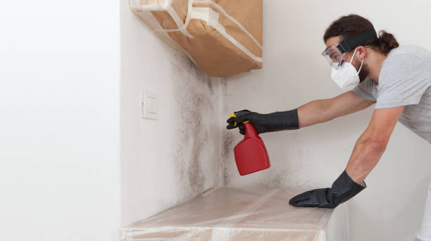 Attic Mold Remediation treatment on roof deck in Wanaque